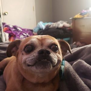 Meet your Posher, Emma